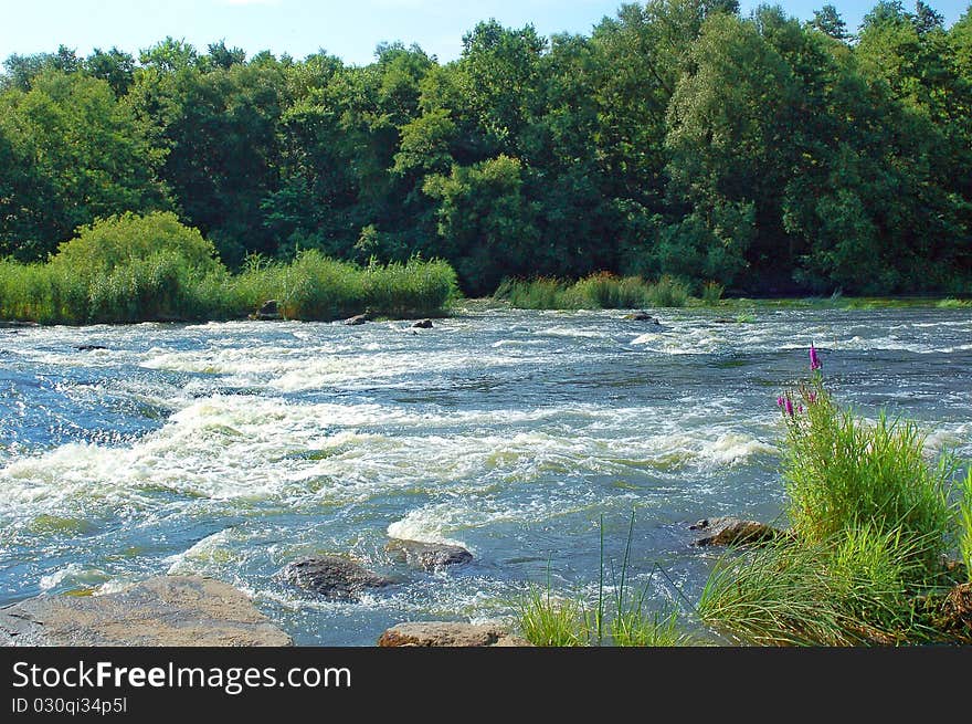 Small river in surroundings trees