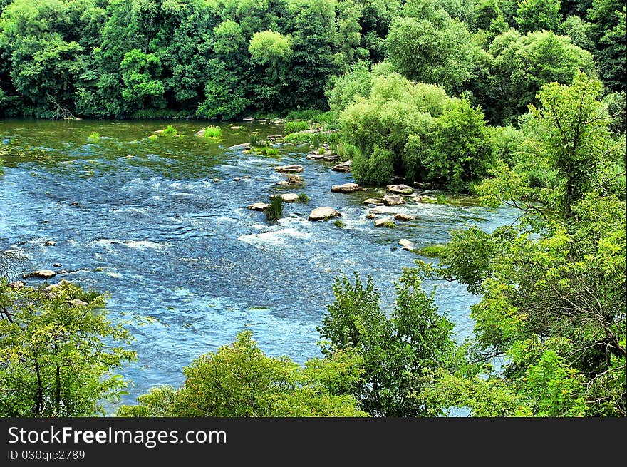 Small river in surroundings trees