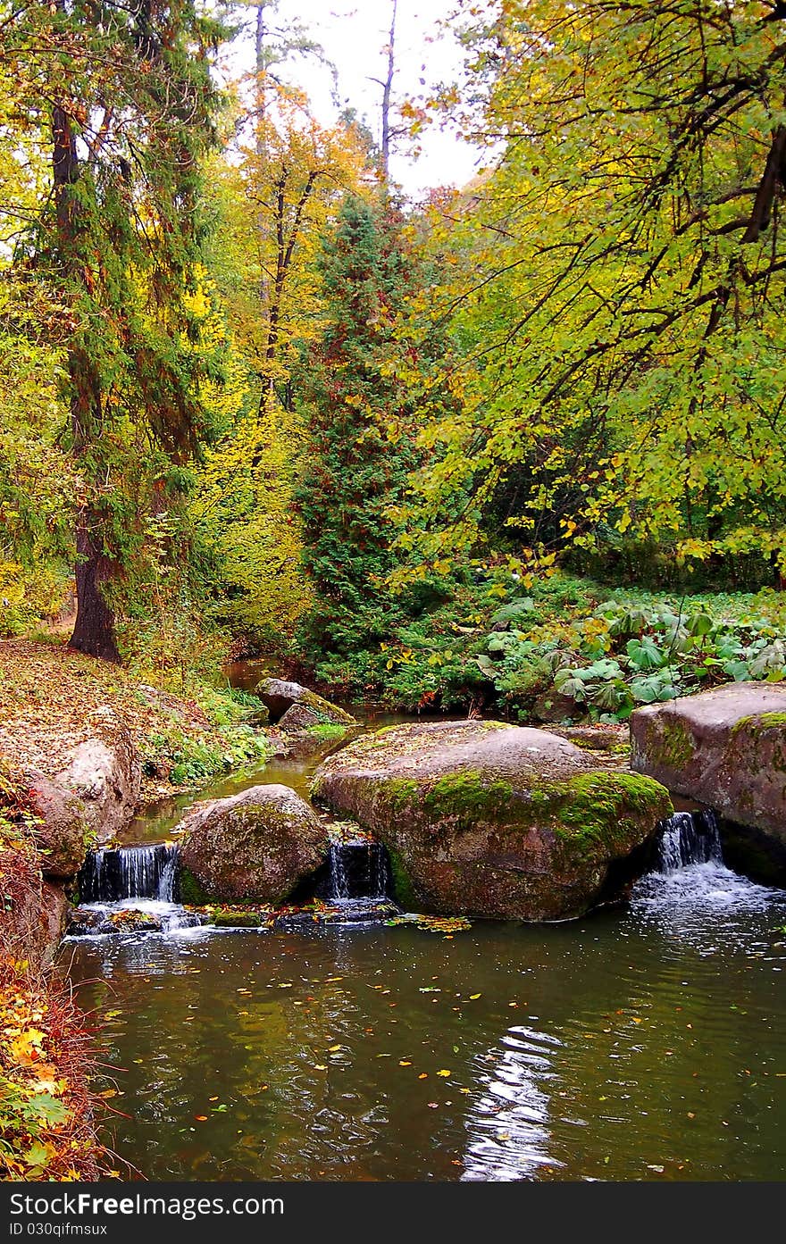 Small River Is In The Autumn Forest