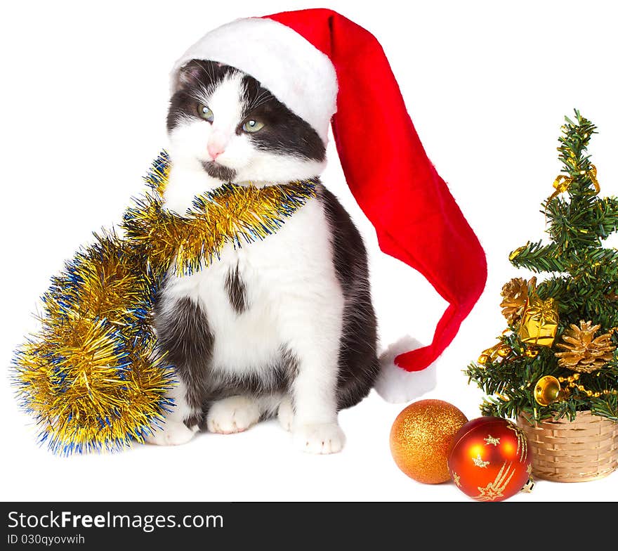 Kitten As Santa Claus And Christmas Tree