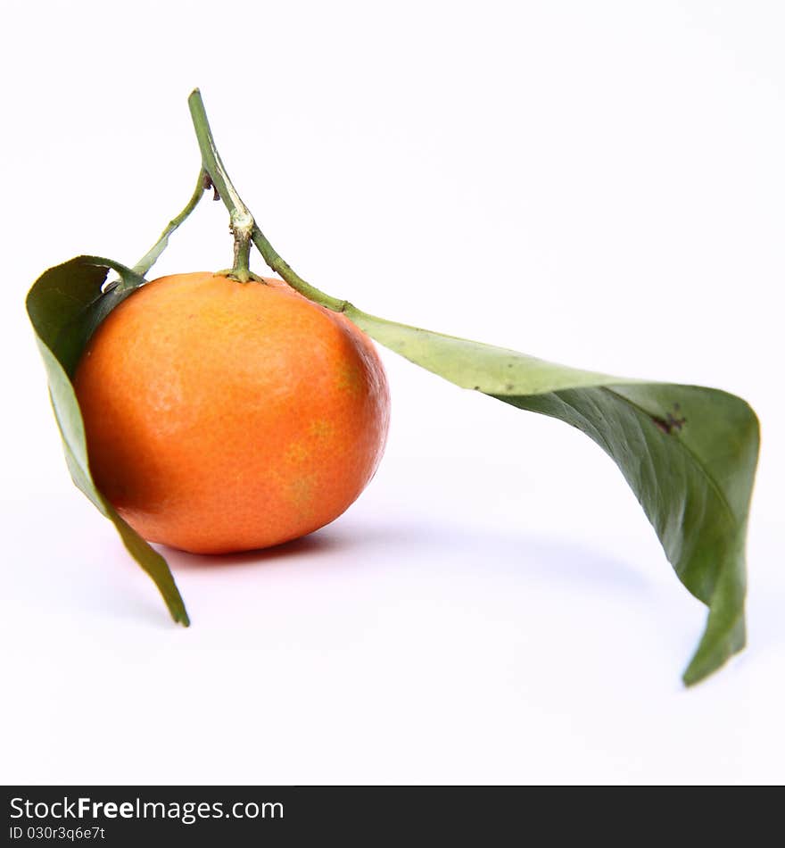 Mandarin with leaves on white background