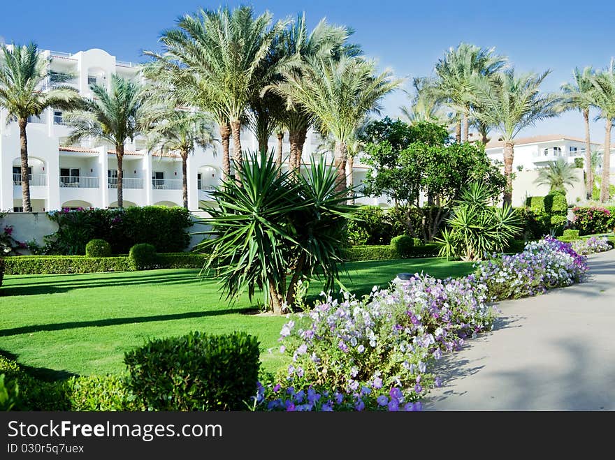 Yard of comfortable hotel with flowers and palm trees. Yard of comfortable hotel with flowers and palm trees