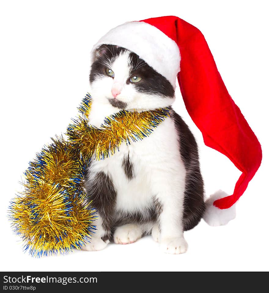 Kitten as Santa Claus