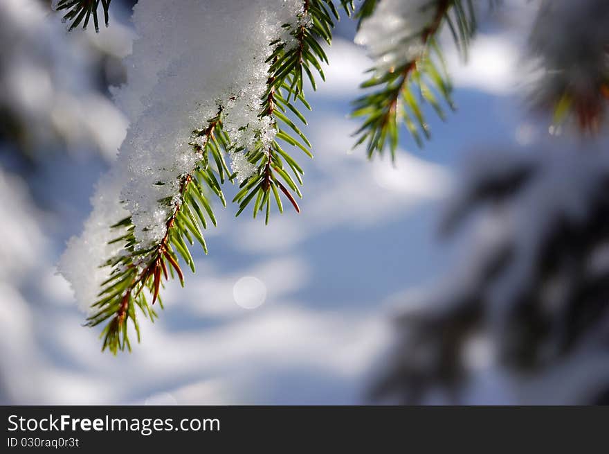 Winter background on a theme of Christmas and New year