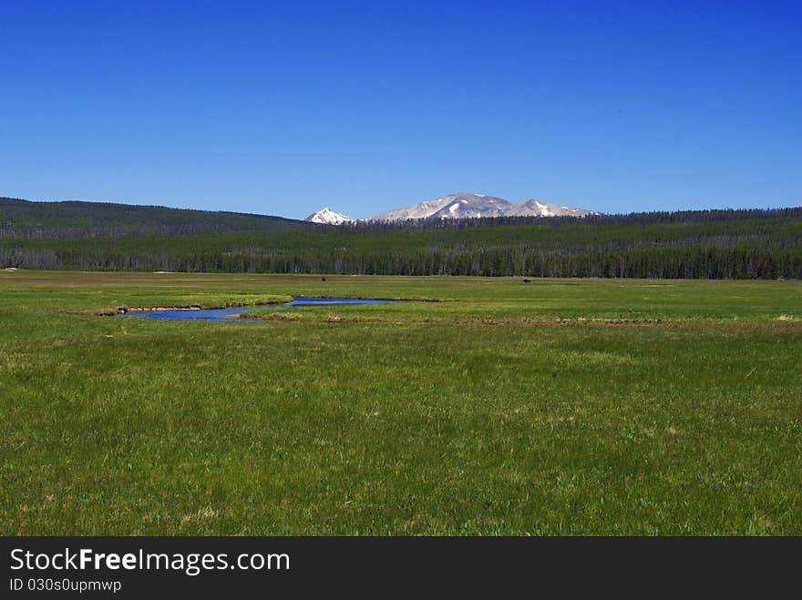 Landscape with a mountain and a green meadow. Landscape with a mountain and a green meadow.