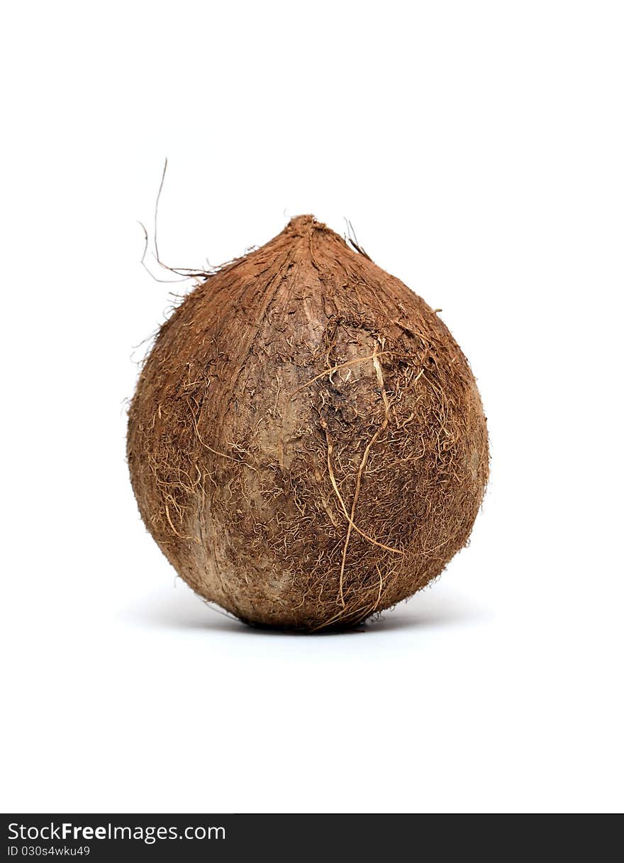 Coconut standing vertical on white background. Coconut standing vertical on white background