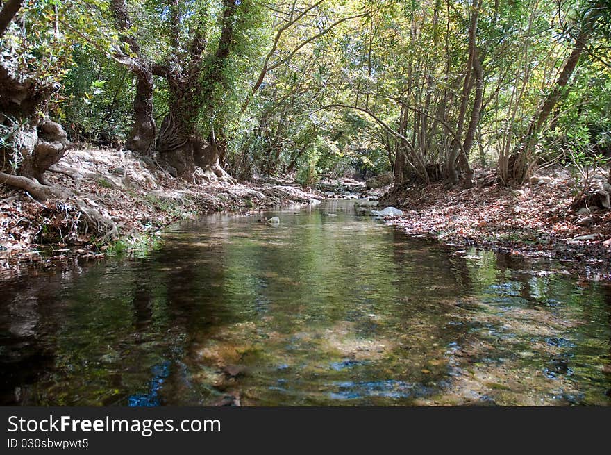 River deep in mountain forest. River deep in mountain forest.