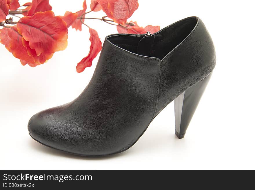 Black lady shoe