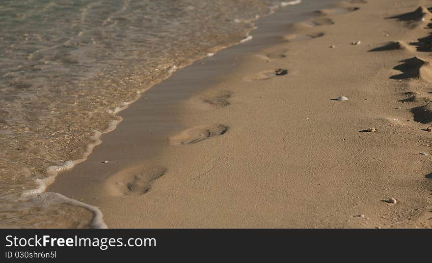 Footprints on the sand along the shore