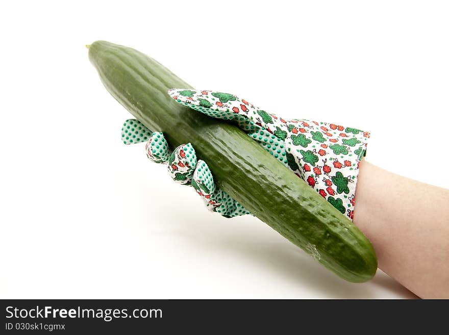 Cucumber in the hand