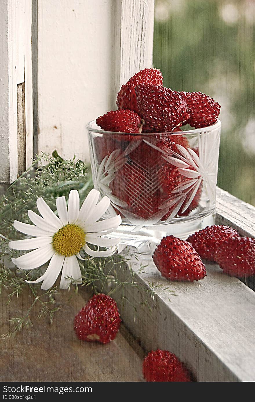 Berries of wild strawberry and a camomile against a window frame. Berries of wild strawberry and a camomile against a window frame