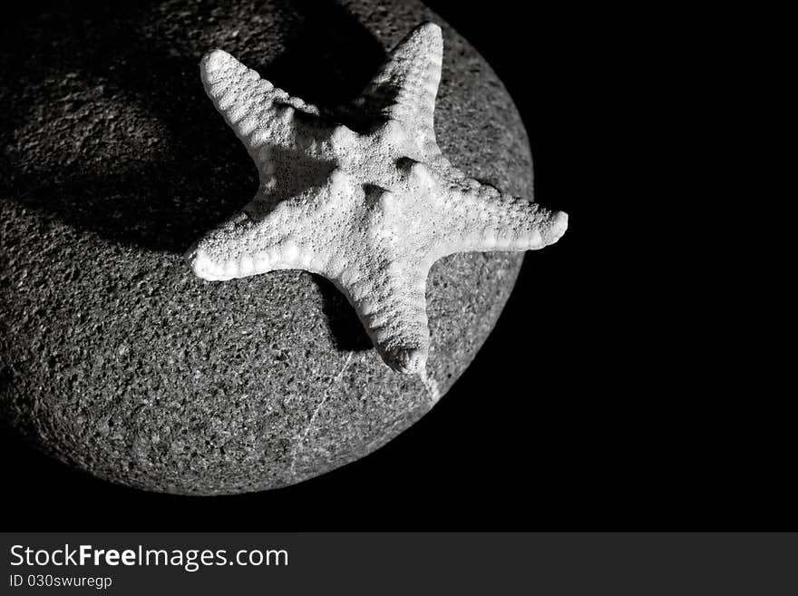 Sea still-life with pebble and starfish in deep shadows