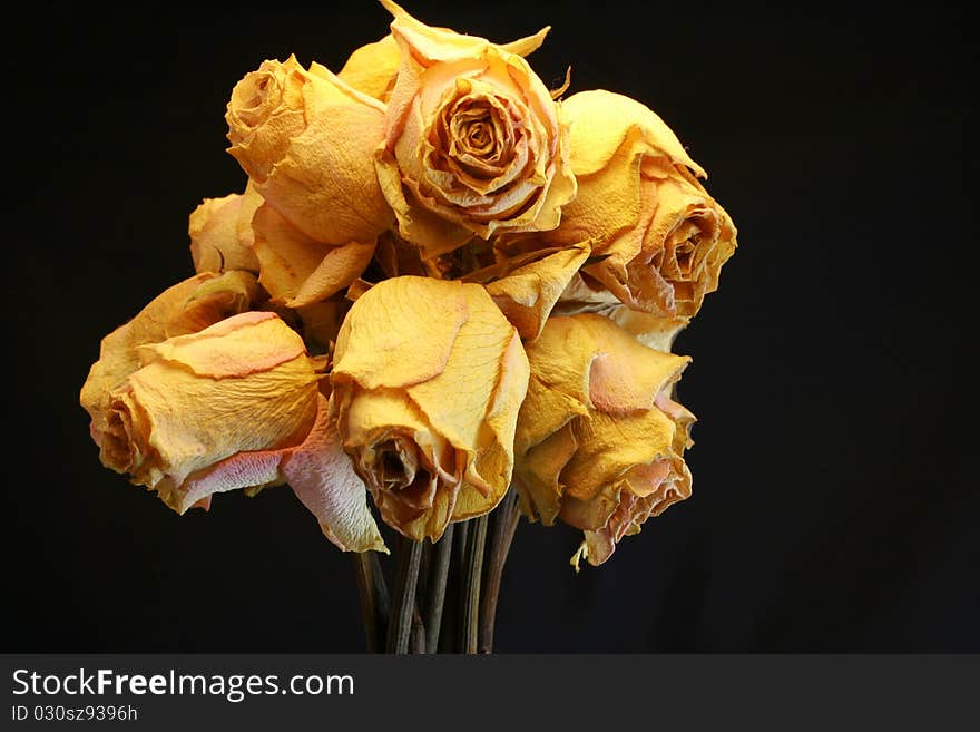 Roses dried in decoration of table