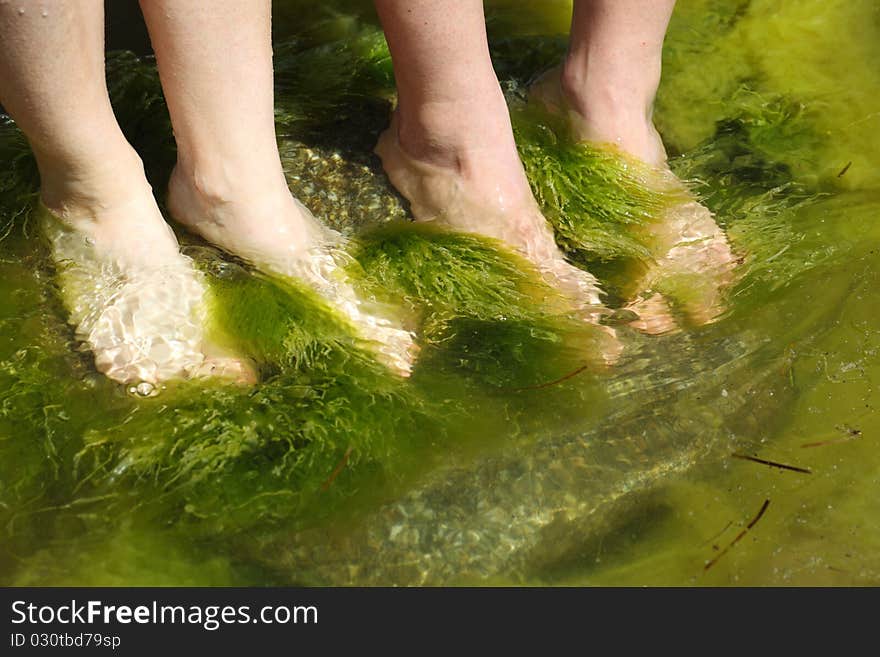 Human foot in the seaweed