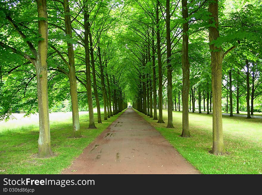 Long Avenue in a european Garden