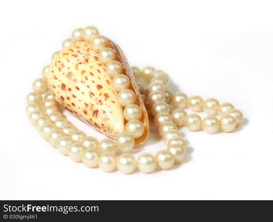 Studio photo of white pearls on shell, reflected