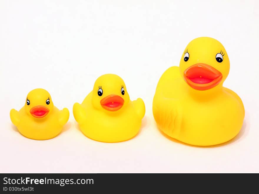 3 Rubber Ducks on white background