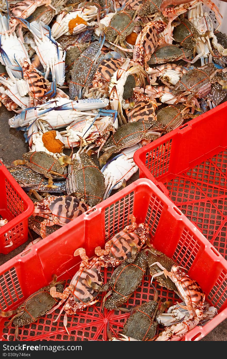 Fresh crabs from fishery boat at port