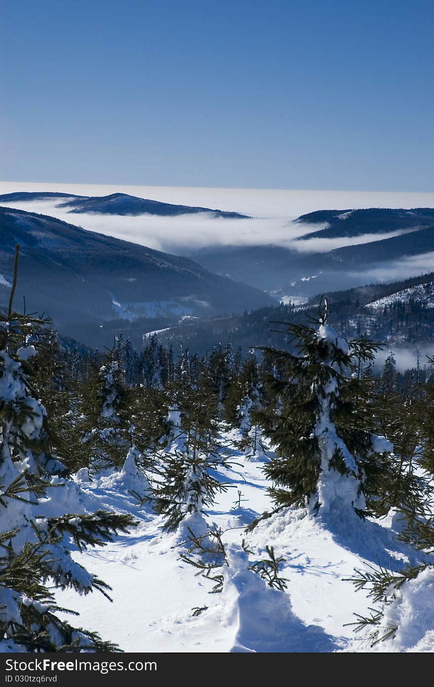 A winter panorama with sunshine, snow, and blue sky. A winter panorama with sunshine, snow, and blue sky.