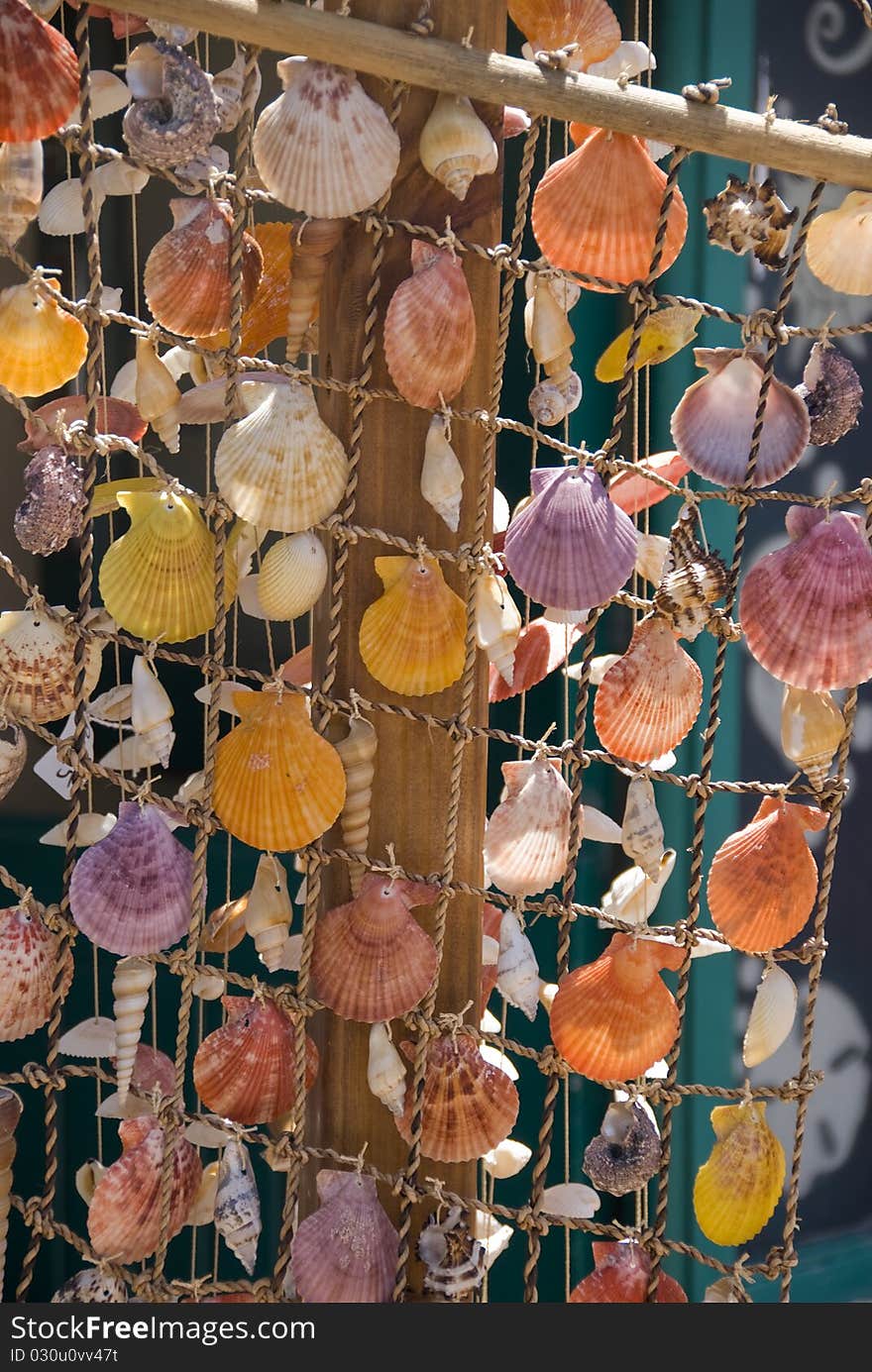 Painted shell fixed to a net. Painted shell fixed to a net.