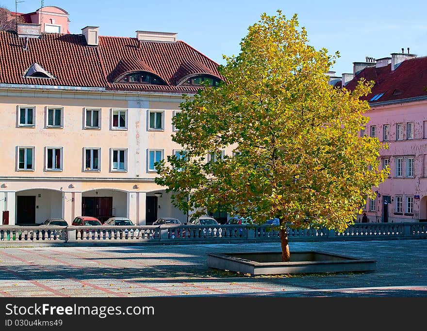 Tree Among The Buildings