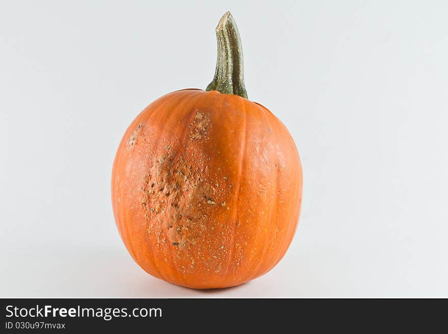 Pumpkin in isolation on a white background. Pumpkin in isolation on a white background