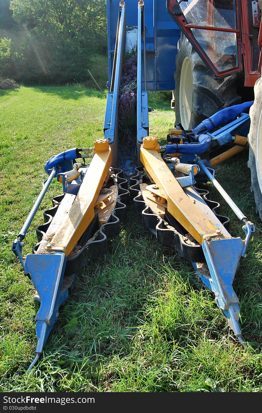 A mechanical machine to cut the flowers of lavender