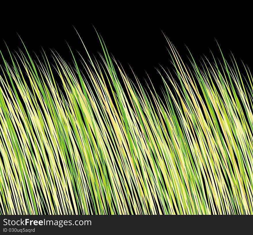 Green grass on a black background. Green grass on a black background