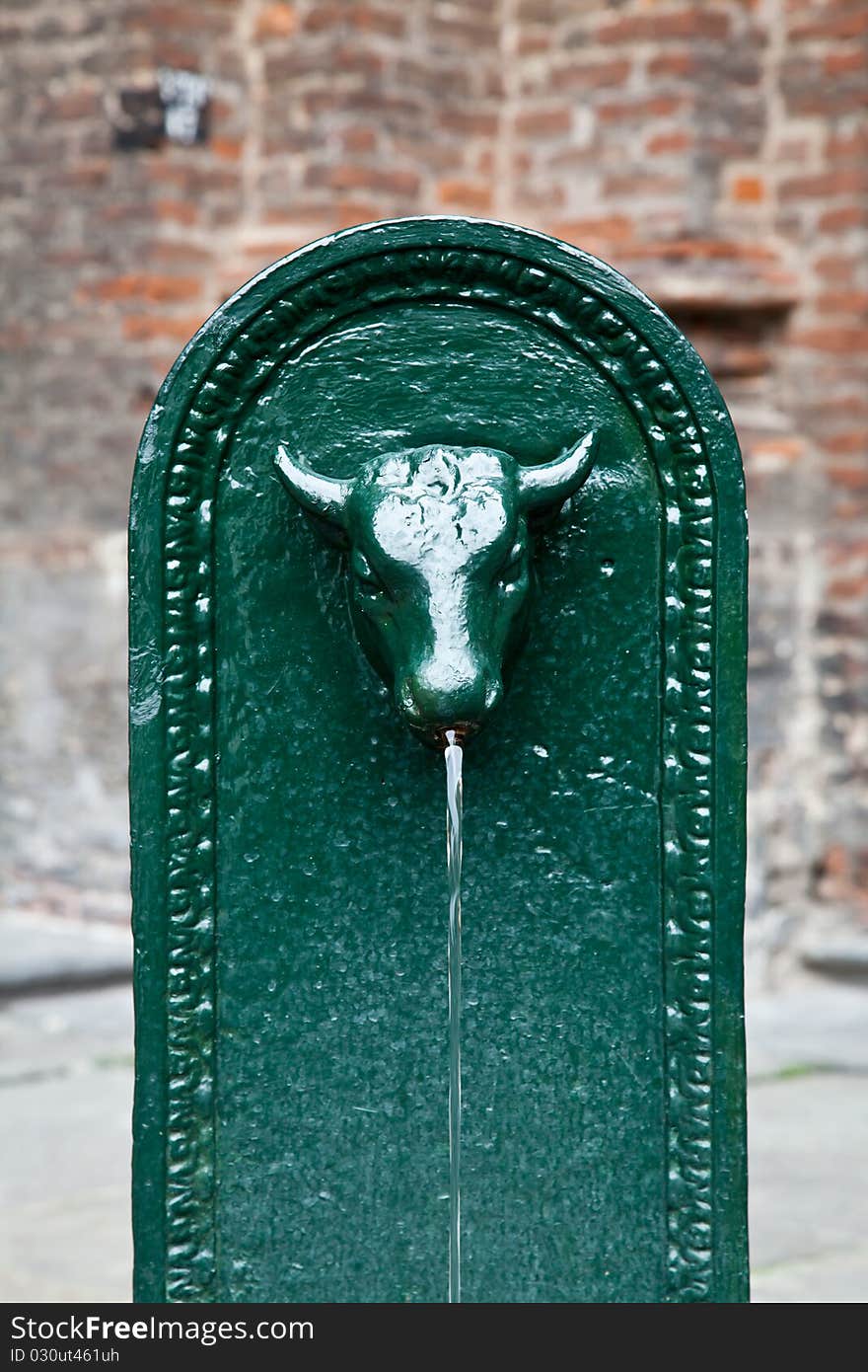 Bull fountain