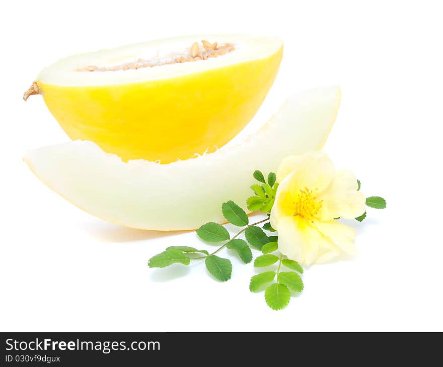 Yellow melon with flower of Dog Rose