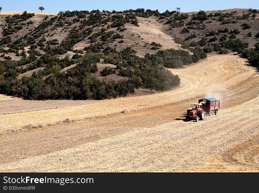 Farmer working the field with tractor. Farmer working the field with tractor.