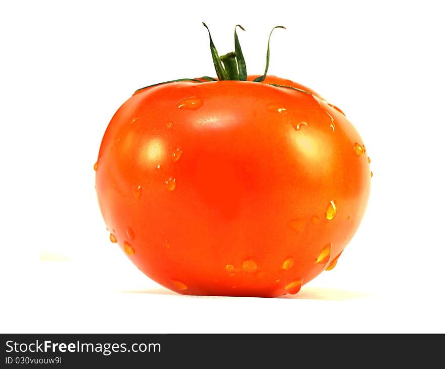 The image of tomato under the white background