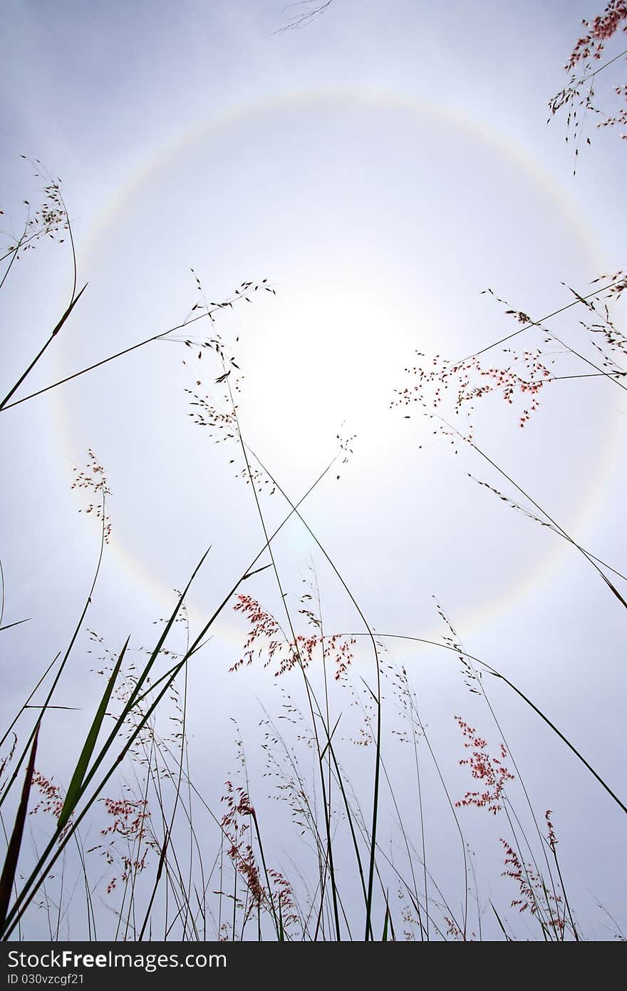 Ray of sunlight over tropical grass field. Ray of sunlight over tropical grass field