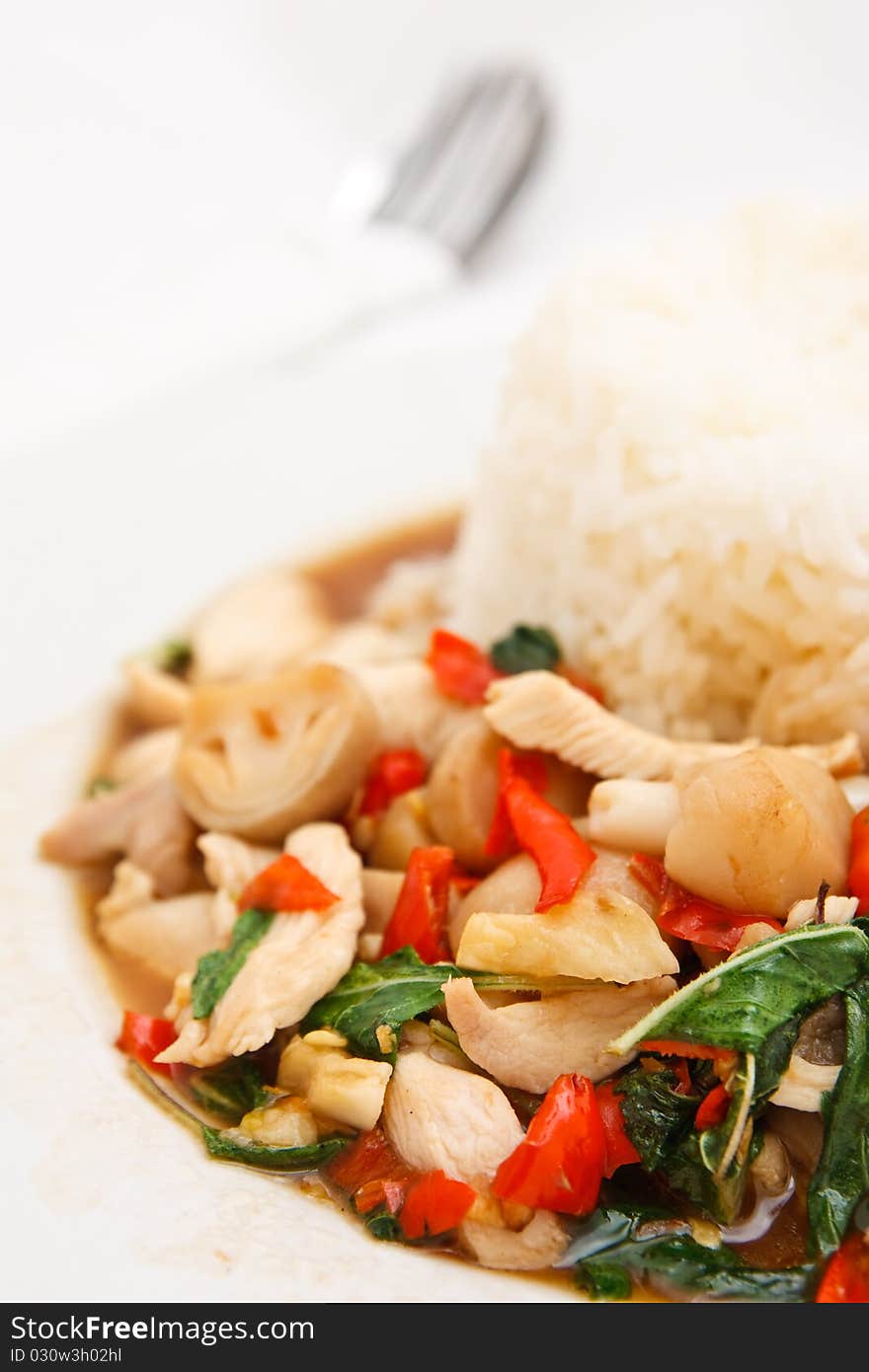 Hot and spicy traditional Thai style with rice