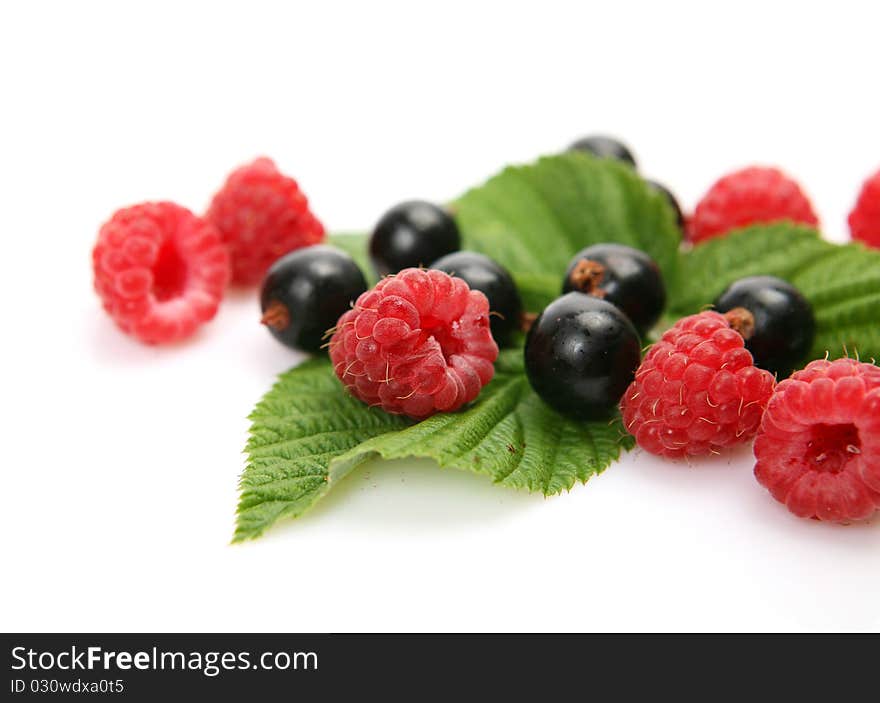 Ripe berries on a white background