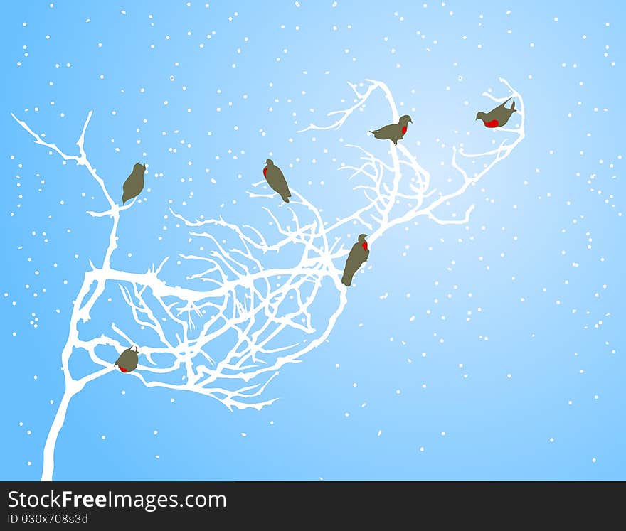 Bullfinches on a white branch in the winter. A illustration. Bullfinches on a white branch in the winter. A illustration