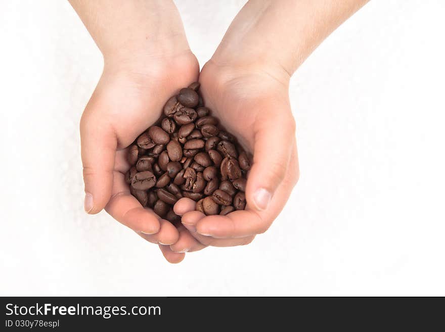 Fragrant fried coffee beans in the boy's hands over white. Fragrant fried coffee beans in the boy's hands over white