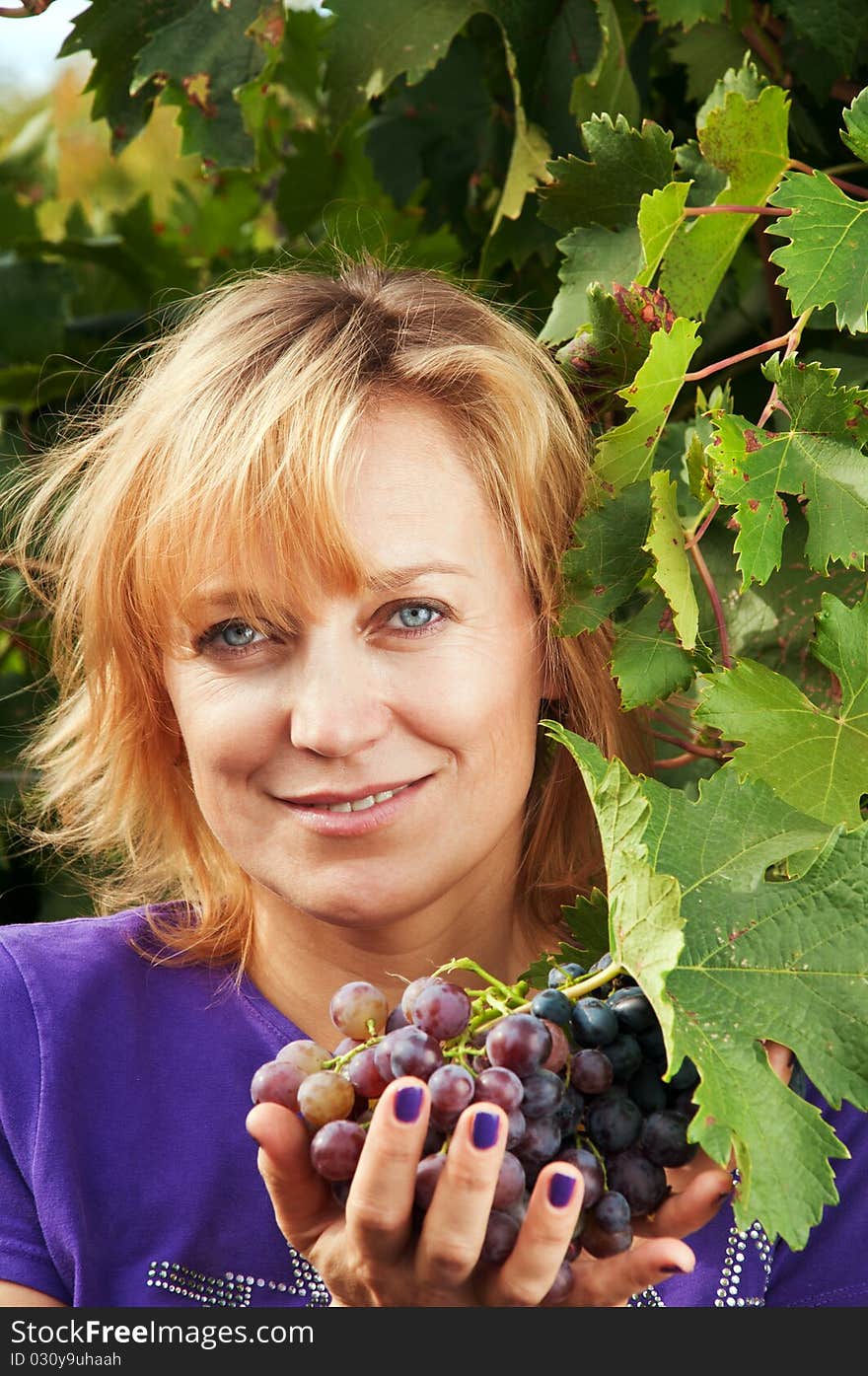 Blue-eyed woman in a blue shirt on the background of vine leaves. tousled blond hair. bunch of grapes in his hand.