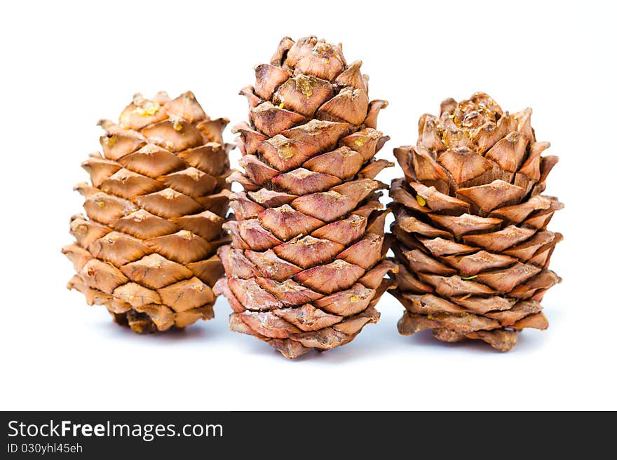 Small group of cones combined on a white background