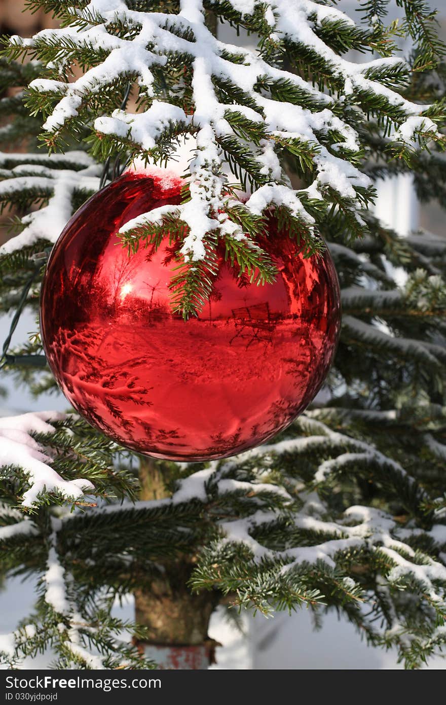 Red Bauble on Christmas Tree with Reflection. Red Bauble on Christmas Tree with Reflection