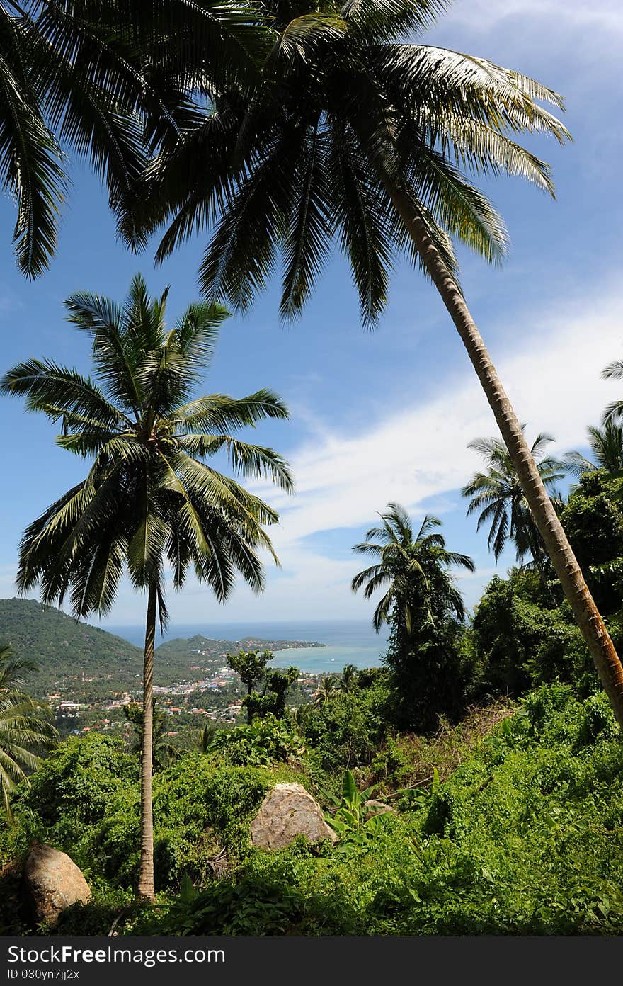 Aerial view of a beach Lamai