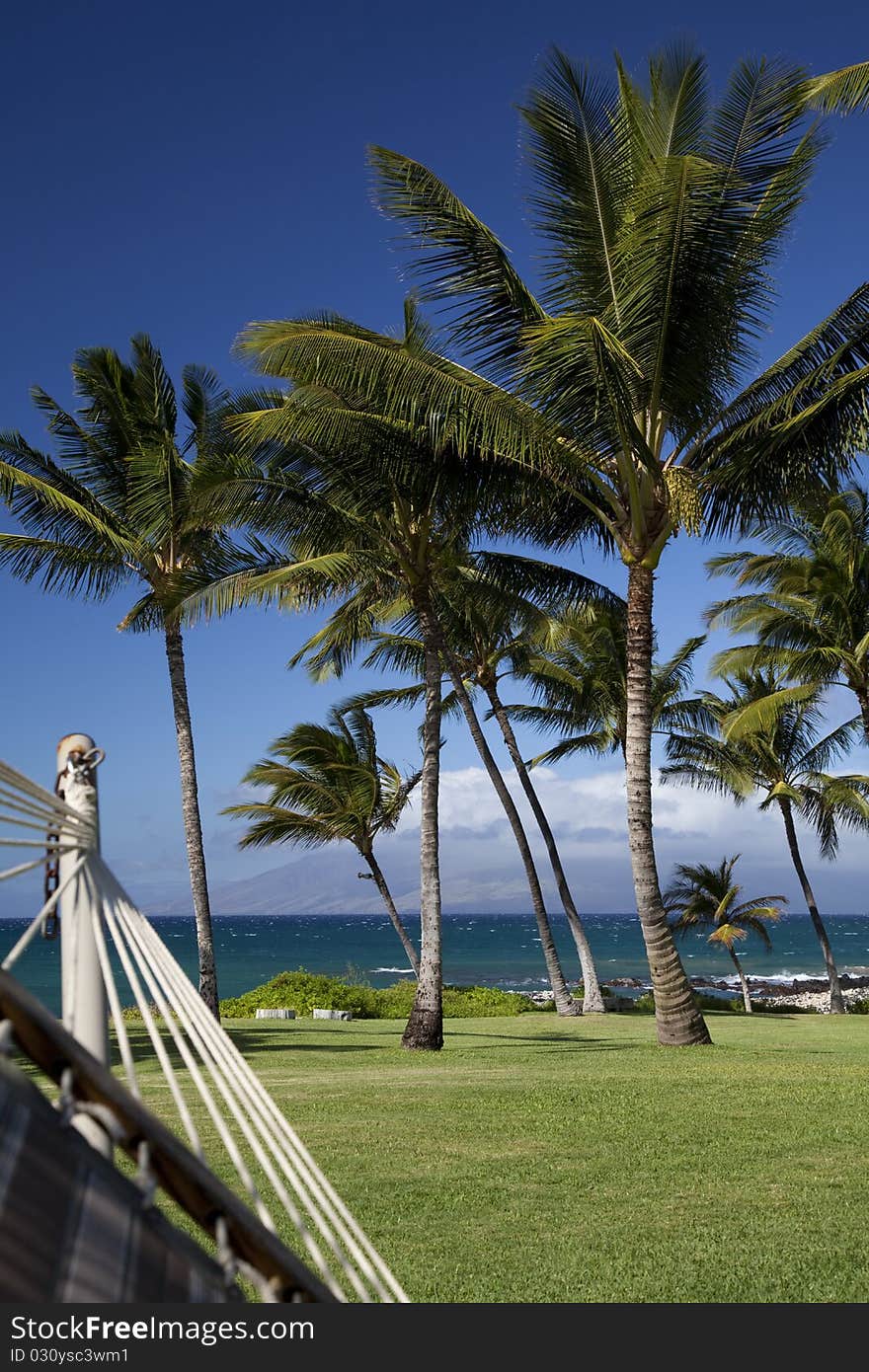 View from the Shady Hammock