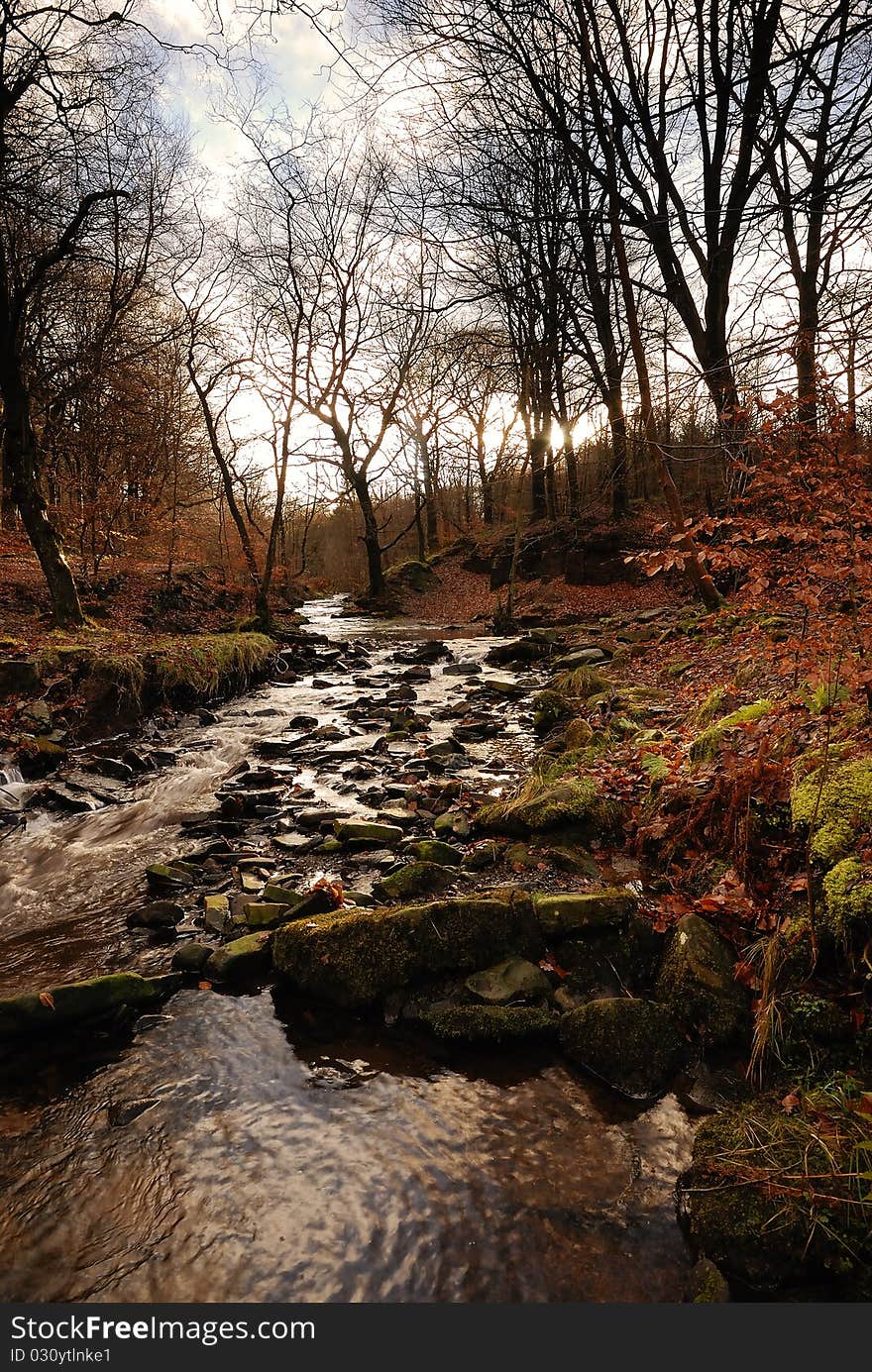 An Autumn Rock Filled Stream. An Autumn Rock Filled Stream