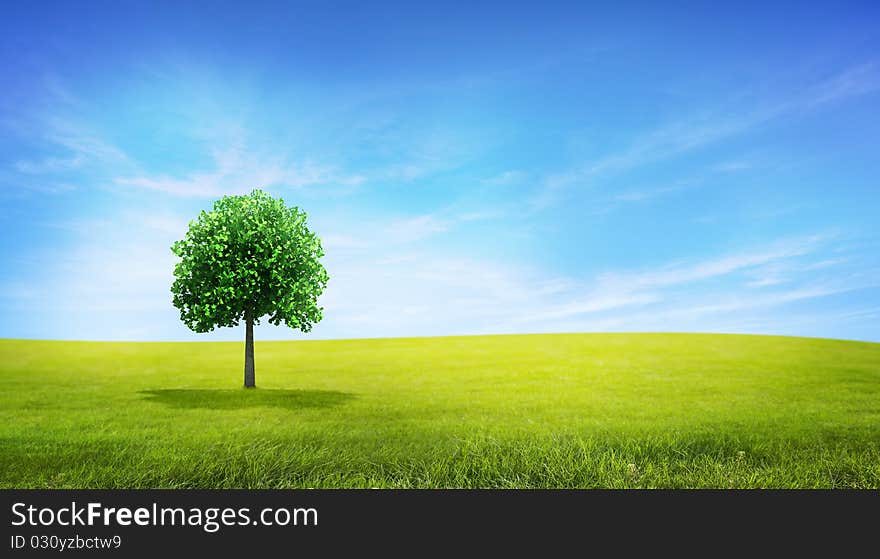 Landscape with a green tree