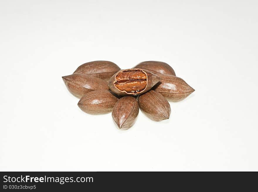 Couple of pecan nuts on white background