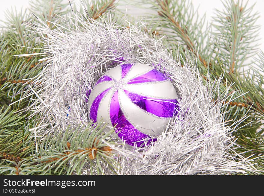 Fran Christmas tree with purple ball