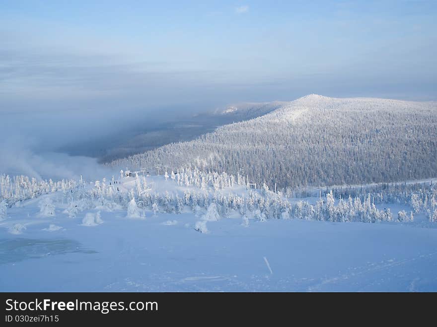 Frosty Winter