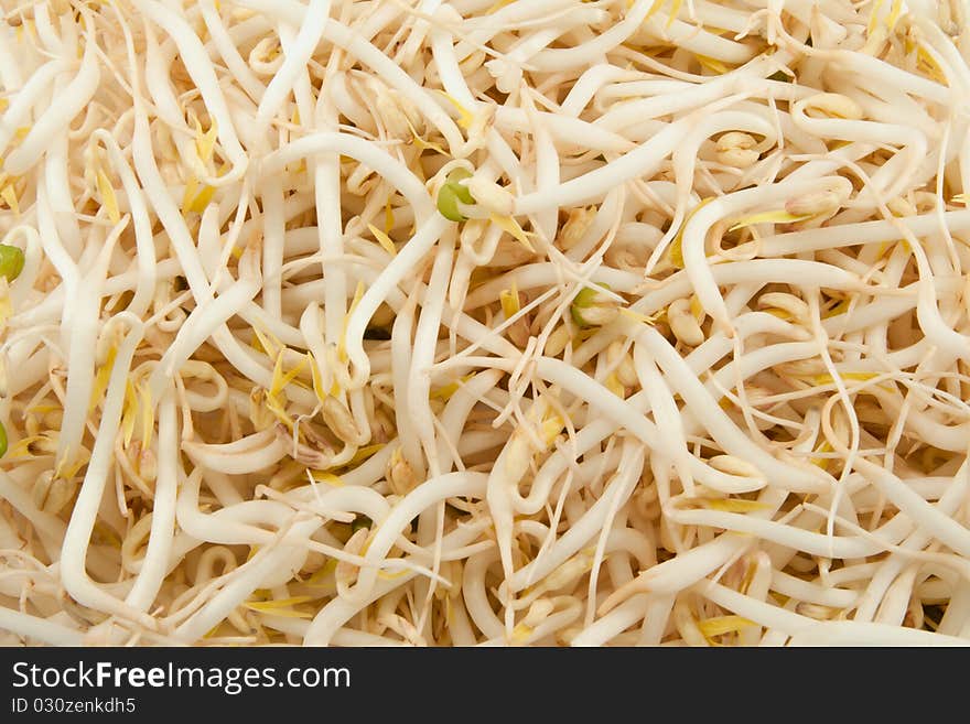 Germinated mung beans used in asian cuisine on white background. Germinated mung beans used in asian cuisine on white background