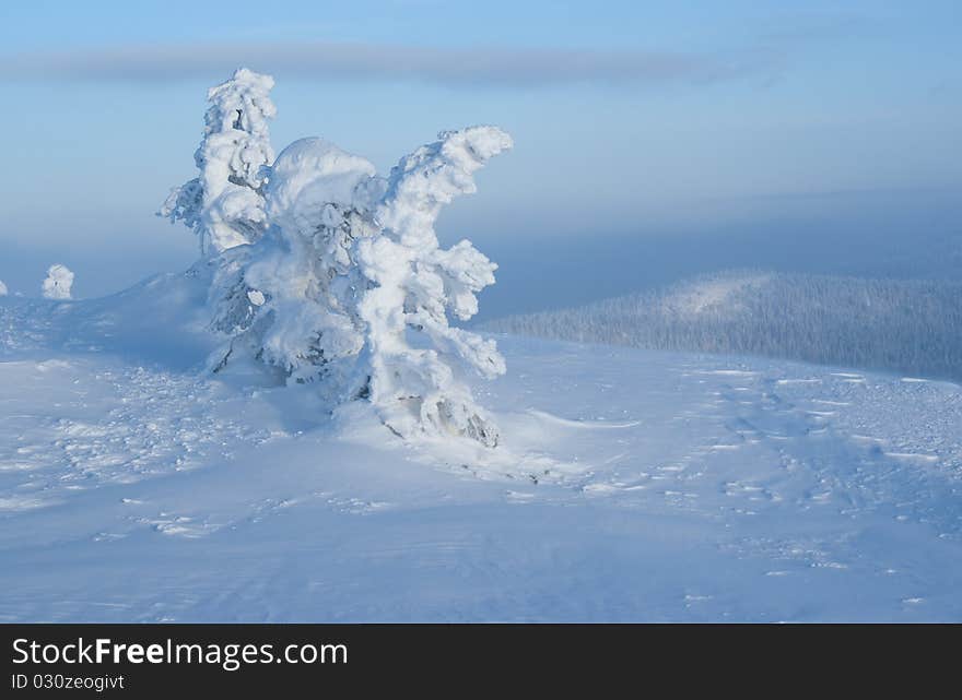 Winter sculpture