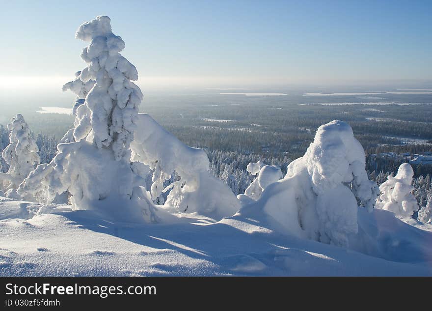 Sunny frosty noon